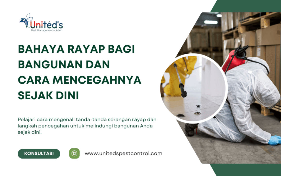 Bahaya Rayap bagi Bangunan dan Cara Mencegahnya Sejak Dini