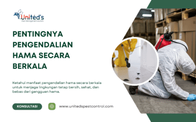 Pentingnya Pengendalian Hama Secara Berkala